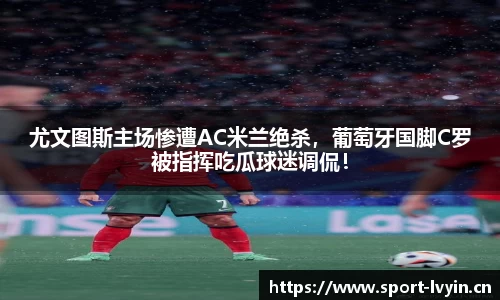 绿茵体育平台