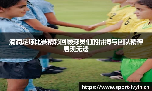 绿茵体育