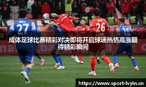 绿茵体育