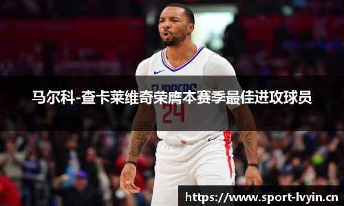 绿茵体育