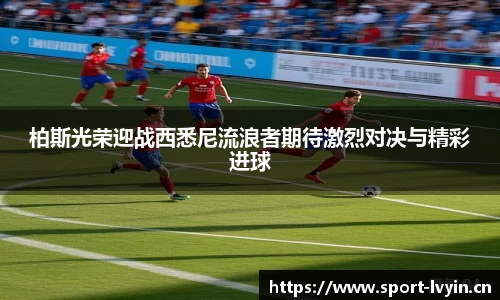 绿茵体育